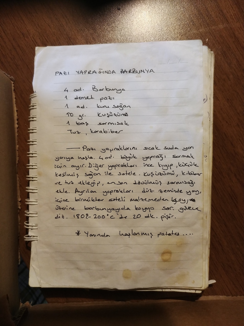 Pazı Yaprağında Barbunya